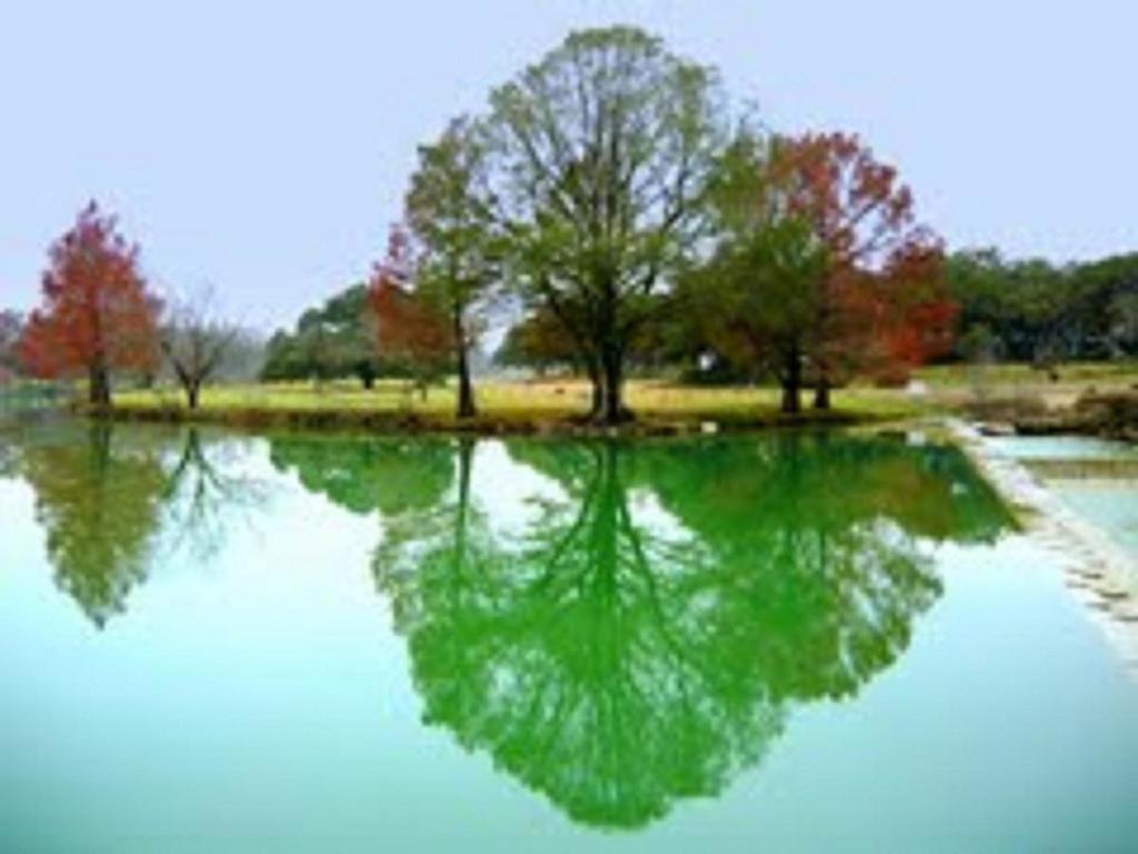 Blanco Riverside Cottages ภายนอก รูปภาพ